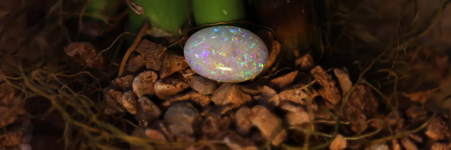 Shop australian opals online